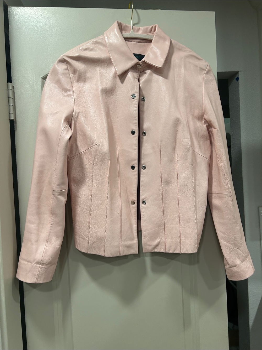 Pale Pink Leather Jacket - Classic Button Front